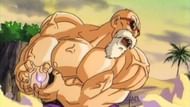 Master Roshi as seen in the anime Dragon Ball (Image Via Studio Pierrot)